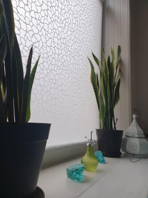 Gemuetlicher Rueckzugsort Mit Orientalischem Flair